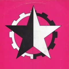 LET BEAUTY LOOSE (Nitzer Ebb Cover)