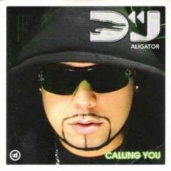 DJ Aligator - Calling You (LVKY Remix)