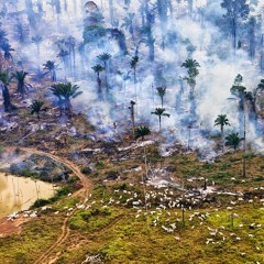 Destructosapienz - Trc & Chazkoh