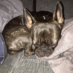 Ob Du Da bleibst oder Gehst