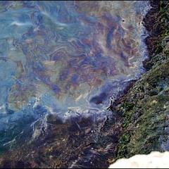 Episode 004- No Mansion of Clues