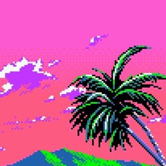 palm//beach cruiser