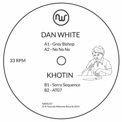 Dan White/Khotin - Split 12" (NRML017)