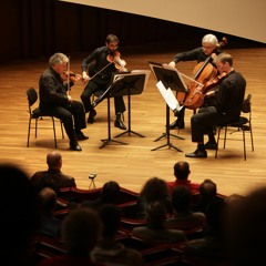 interspersed sometimes with weeds and brambles