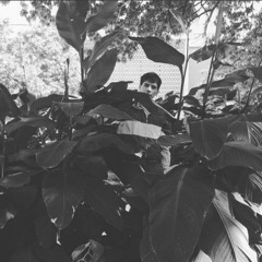 Jan 8th: Trick Burn, Tamarron, Dryspell & Bare Mountain