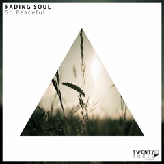 Fading Soul - So Peaceful (Original Mix)