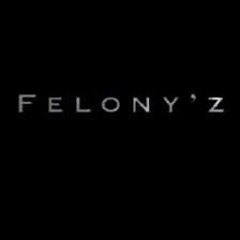 PWild ft. Fat Trel & Oochie - Felony'z