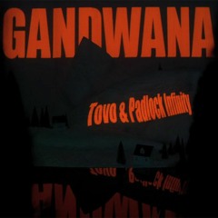 Tovo & Padlock Infinity - Gandwana