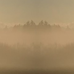 KAFKA - Cascadian Architextures v1 DJ Set [2015.11.07]