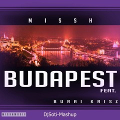 Mr Missh feat. Burai Krisz-Budapest-Darkwin's Mashup 2016