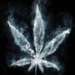 Bassfingerz Freestyle ~ Greez .X. Pharaoh Lavelli .X. Genesis .X .Gift