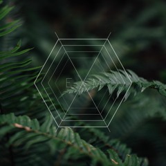 Expedition Moonchordia