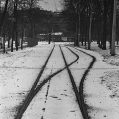 the story of an old photo