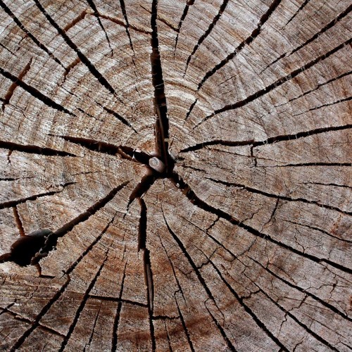 Fracture & Deft - I JUST