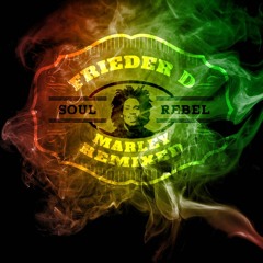 Frieder D - Soul Rebel - Marley Remixed