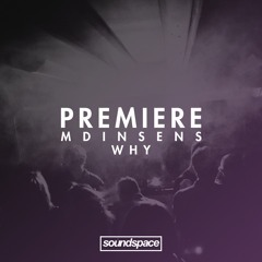 PREMIERE: Mdinsens - Why (Red Panda)