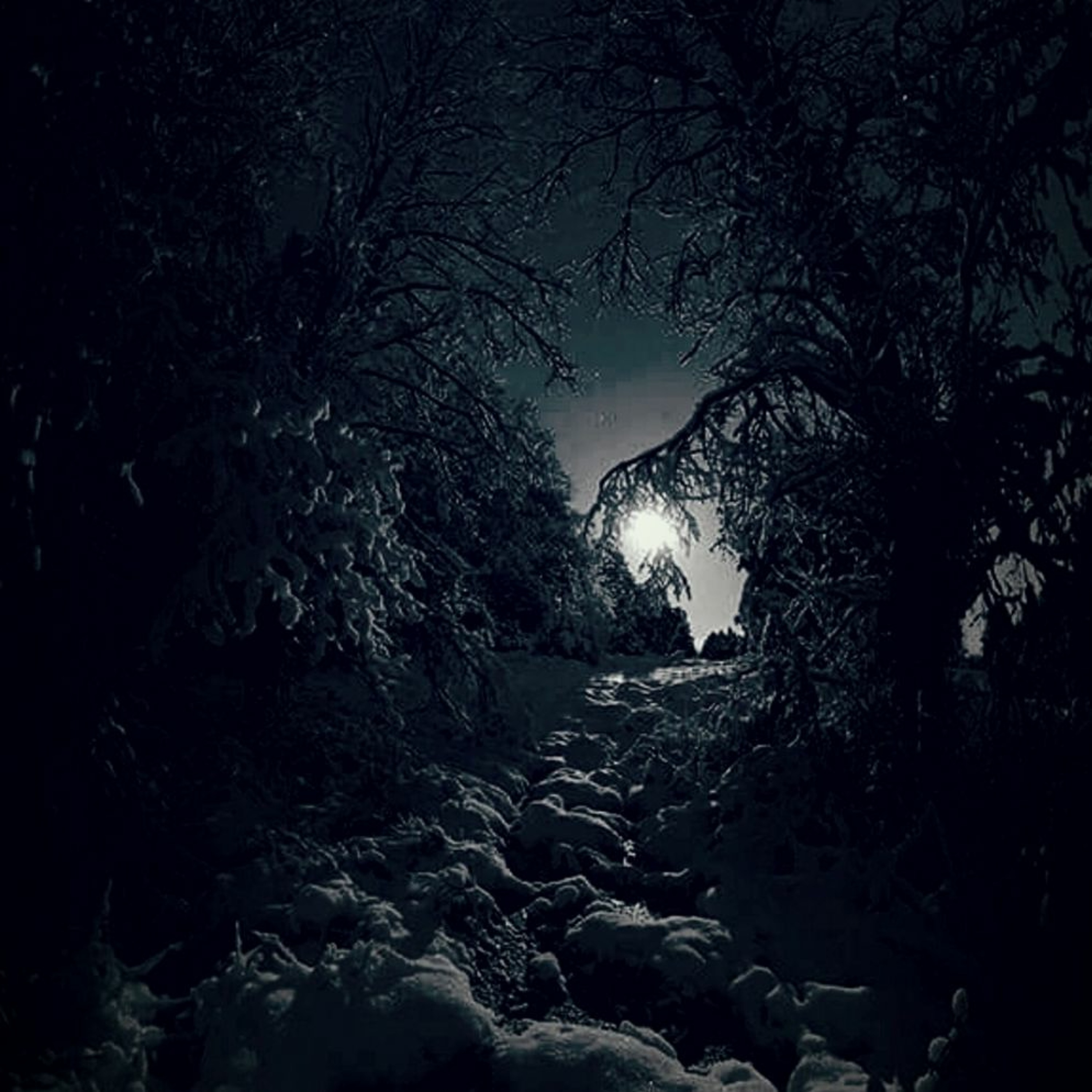 Night episode artwork