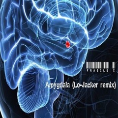 Fragile X - Amygdala (Lo-Jacker remix)