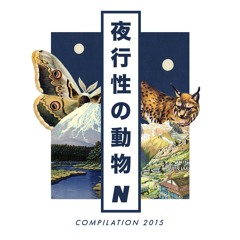 Brad Coleman - Hollow Earth Theory