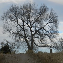 December 11th 10:22pm