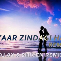 Pyar Zindagi Hai-DJ AY & SHIVEN Remix