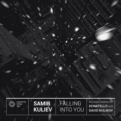 Samir Kuliev - Falling Into You (Donatello sweet dreams remix)