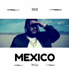 NEW MEXICO - RadioReadyBeatz.net (TAGGED)