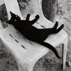 Titles Under Pressure - Yossnon