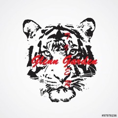 This is How I Tigersmash R3hab (Mashup & Remix)