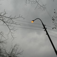 Говорящим С Тёмным Ветром