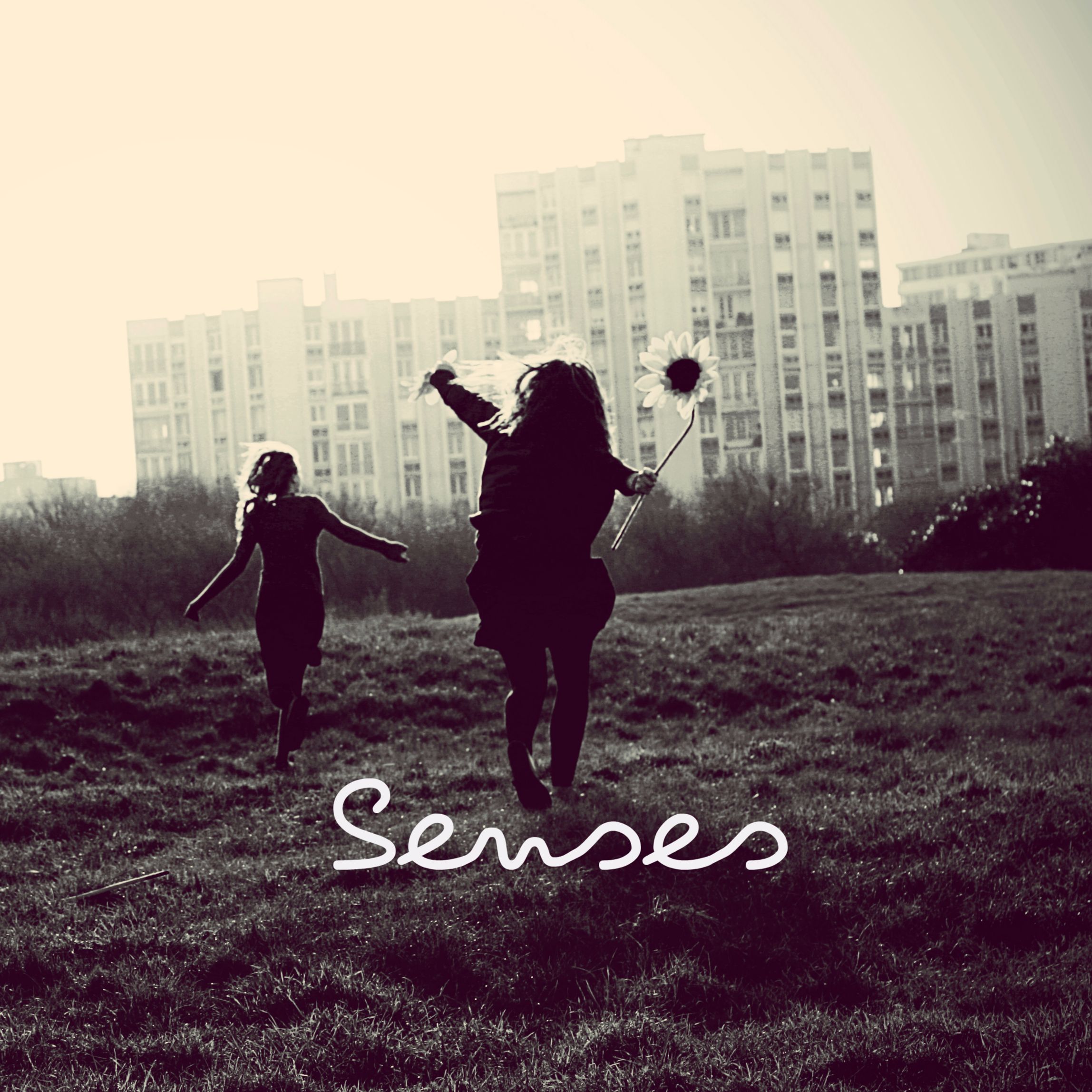 Senses
