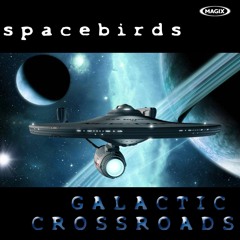 Spacebirds - Galactic Crossroads