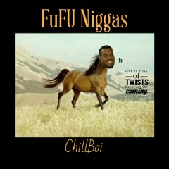 FuFU Niggas