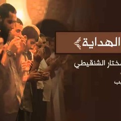 مؤثرة : الثبات على الهداية - كلمة للشيخ محمد مختار الشنقيطي - بالمؤثرات