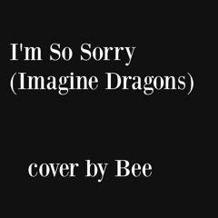 I'm So Sorry | Cover