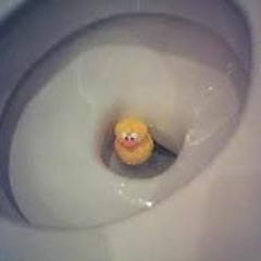 Canard W.c