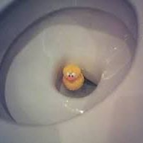 Canard W.c
