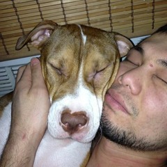 Busy Signal - Comfort Zone