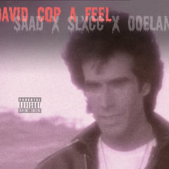 david cop a feel ( s l i g h t ) (prod by Fanterion)