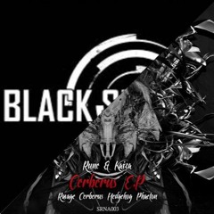 Mix Black Sun Empire & Audio - Drizzle / Rune & Kaiza - Cerberus