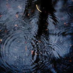 Just Rain [Pro field recordings rain & thunder for relaxation, sleep, meditation, yoga  & more]
