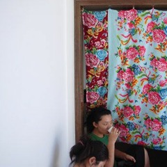 东北帽子 northeastern hat