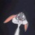 Artwork for Acid Division - Mr.Rabbit