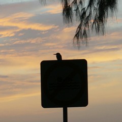 Way Nay Tone Pal_Jessica Dada.m4a