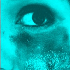 Pieces - PLGRMS (Cover)