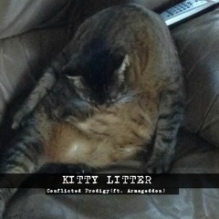 Conflicted Prodigy - Kitty Litter (ft. ARMAGEDDON)