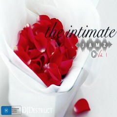 THE INTIMATE JAMZ VOL.1 (SLOW JAMS) Nice & Slow
