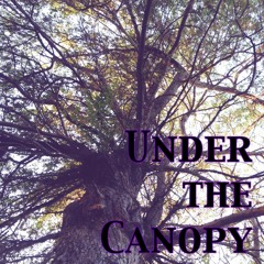 Under The Canopy ft. Sara Masters