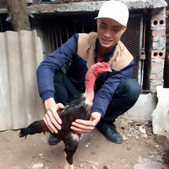 TungCoc - Vol - Tang - E-Hai - Hami