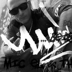 MIC EL NeW BITCH Beat Theraphist Live.